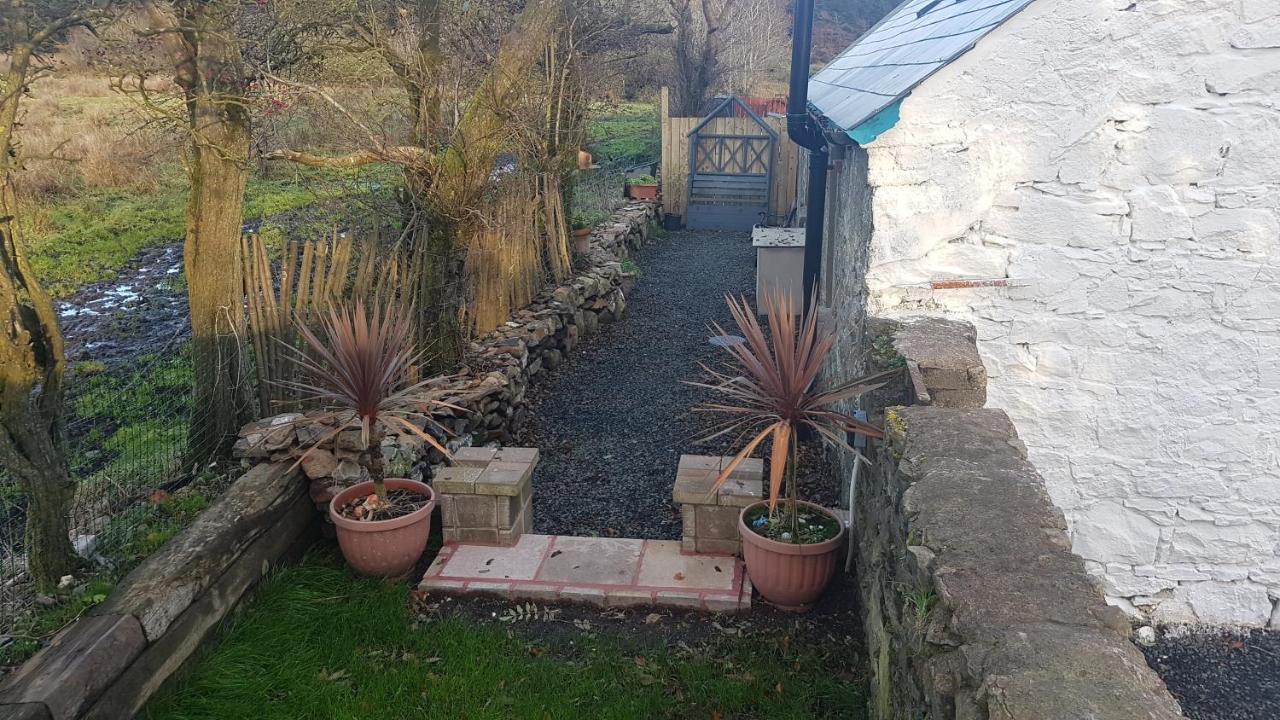 Cosy Cottage On The Causeway Coast And Glens Баликасъл Екстериор снимка