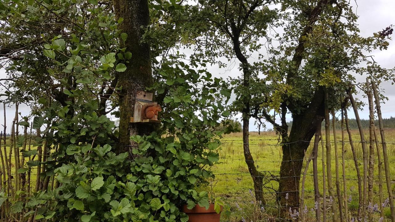 Cosy Cottage On The Causeway Coast And Glens Баликасъл Екстериор снимка