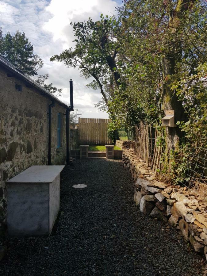 Cosy Cottage On The Causeway Coast And Glens Баликасъл Екстериор снимка